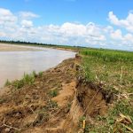 दोदा नदीले उखु र धान रोपेको जग्गा बगाउन थालेपछि स्थानीयवासी चिन्तित