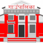 चार पालिकाले तयार पारे स्थानीय पाठ्यक्रम