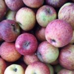 जुम्ली काँचो स्याउ बजारमा