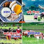 आज धान दिवस असार १५ ।