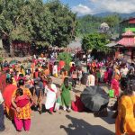 देवघाटधाम मा घुइँचो बढ्दै।