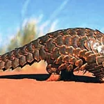 लोपन्मुख वन्यजन्तु सालकको आखेटोपहार (खपटा) सहित ३ जना पक्राउ