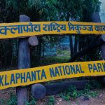 निकुञ्ज पीडितको दुख – ‘दलका चुनावी एजेण्डा मात्रै बन्न पुग्याे