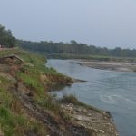 चितवनमा पर्यटकको आगमनमा वृद्धि