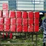 २२ कार्टुन गाँजा बोकेको ट्रक सशस्त्र प्रहरीकाे नियन्त्रणमा, चालक फरार