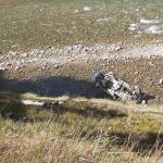 रोल्पामा जिप दुर्घटना हुँदा चालकको मृत्यु, बालक घाइते