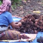 नेपालबाट ३ अर्ब ७३ करोडको अलैँची निर्यात