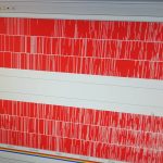 ताप्लेजुङमा भुकम्पको धक्का