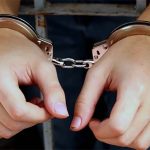 नेपालबाट भारततर्फ लैजाने क्रममा २५ पशुसहित १ जना पक्राउ