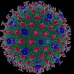 चिलीका ५३ वर्षीय पुरूषमा भेटियाे बर्डफ्लु