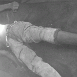 हात्तीकाे आक्रमणबाट एक जनाकाे मृत्यु