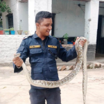 विधालयमा सात फिट लामाे अजिंगर फेला पर्याे