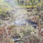 दैलेखमा  ट्रक दूर्घटनामा ३ जनाको घटनास्थलमै मृत्यु