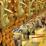 विमानस्थलमा झाेला एक्सरे जाँच गर्ने क्रममा गहना चाेरिएकाे: एक महिलाकाे आरोप