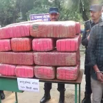 चितवनमा १८० किलाे लागुऔषध गाँजासहित एक भारतिय नागरिक पक्राउ
