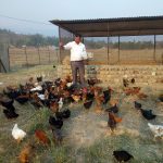 बिमा कम्पनीहरूले कृषि,पशुपंक्षी बिमा स्थगित गर्ने निर्णय