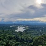 कोलम्बिया : १८ दिनअघि भएको विमान दुर्घटनामा ११ महिनाको बच्चासहित चार जना जीवितै भेटिए