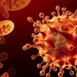 पछिल्लाे २४ घण्टामा थप ३२ जनामा काेराेना संक्रमण