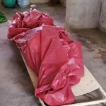 राैतहटमा गाेली हानी एक वृद्धकाे हत्या