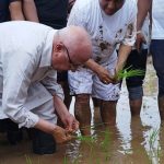 चितवनकाे जगतपुरमा राेपे अध्यक्ष ओलीले धान