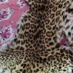 चितुवाको छालासहित २ जना पक्राउ