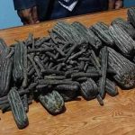 कैलालीमा लागुअाैषध सहित एक जना पक्राउ