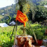 चौबीस वटा एकादशीहरुमध्ये सबैभन्दा महत्वपूर्ण एकादशी