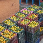 पहिलो पटक सुन्तला महोत्सव