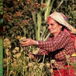 ‘इयर अफ मिलेट्स’ फोटो प्रतियोगितामा नेपालका राज अधिकारीले खिचेको फोटो दोस्रो भएको छ