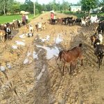 धनगढीस्थित सडक निर्माणको म्याद सकिँदा भौतिक प्रगति ३५ प्रतिशतमात्रै