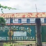 गिरीबन्धु जग्गा प्रकरणको फैसला सुनाउने तयारी