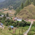 वृद्धभत्ता बुझेर घर फर्किँदा बाटोमै मृत्यु