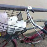 एक नागरिकले उर्लदो भेलमा नारायणी पुल बाट फाल हाने