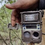 बाघ गणनामा राखिएका ६० क्यामेरा हराए