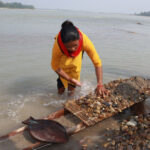 सोनाहा समुदायद्वारा जनजातिमा सूचीकृत गर्न माग