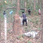 किसानलाई पतिङर सोहोर्ने चटारो