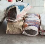 सुनसरीमा २४७ केजी गाँजा बरामद, एक पक्राउ, अर्का फरार