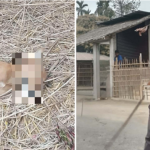 आफ्नो बारीमा हिँँड्यो भनेर सडक कुकुरको कुटीकुटी ह~त्या