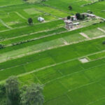 ६ महिनाभित्र जग्गा हदबन्दी समस्या समाधानका लागि  के-के छन् योजना ?