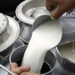 मेहनत र लगानीअनुसारको मूल्य पाउँदैनन् दुग्ध किसान