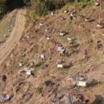 धनकुटामा मौरीपालनतर्फ बढ्दो आकर्षण, कम मिहिनेतमै लाखौँ आम्दानी