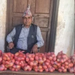 विद्यालयमै विद्यार्थीको टमाटर खेती, बिक्री गर्न प्रधानाध्यापक आफैँ बजारमा