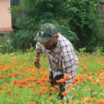विदेश जाने होइन, स्वदेशमै फूल फुलाउने अठोट